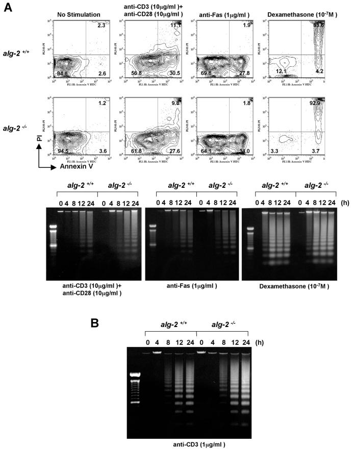 FIG. 4.