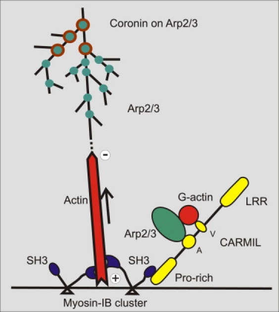 Figure 10