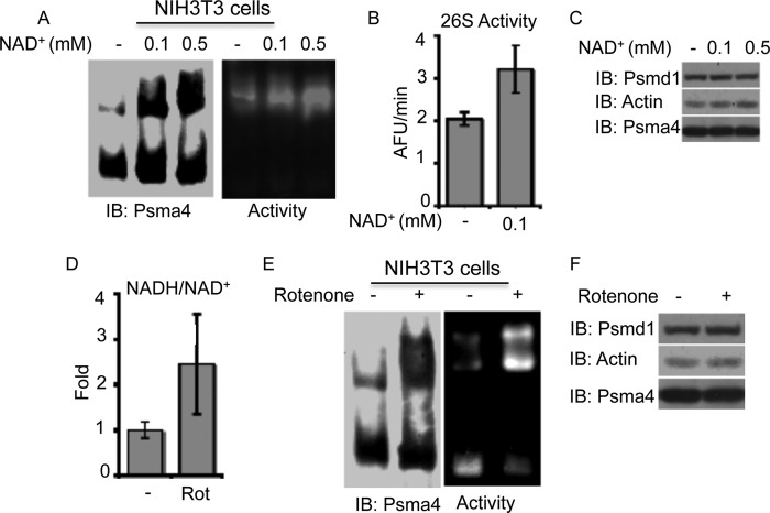 FIGURE 6.