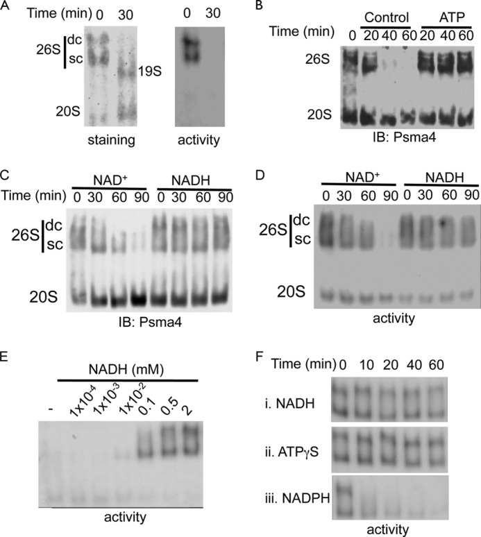 FIGURE 2.