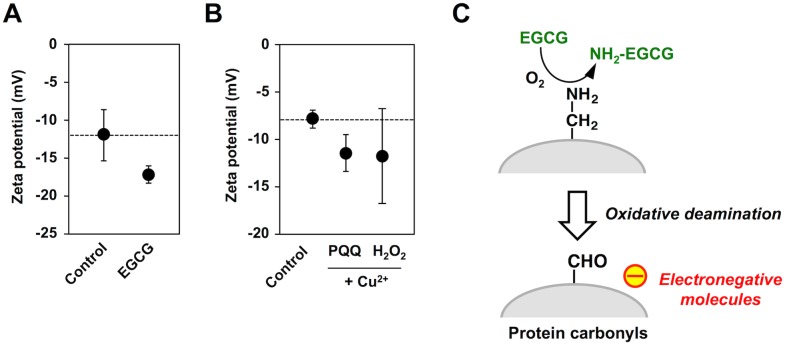 Fig 7