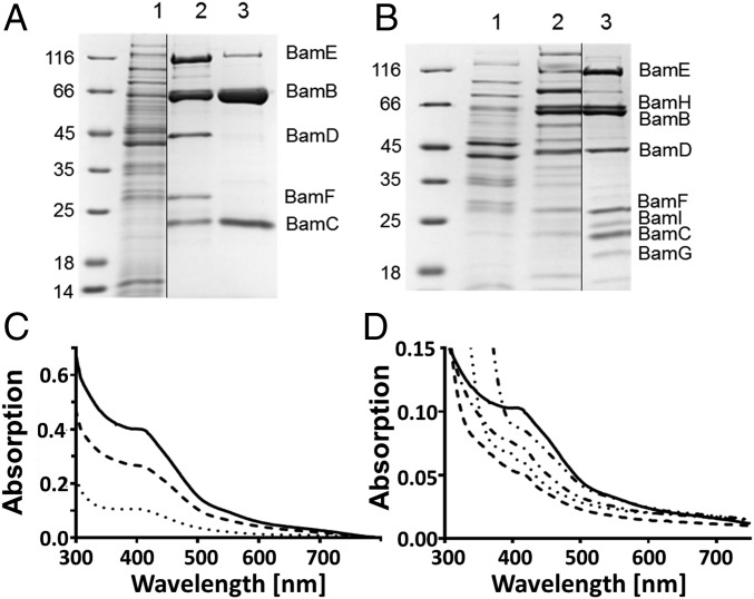 Fig. 2.