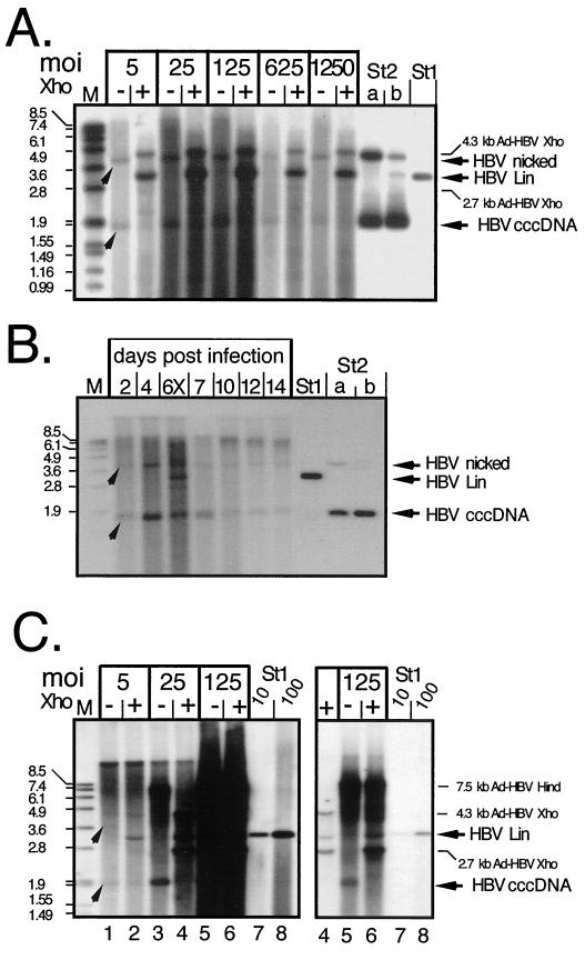 FIG. 7