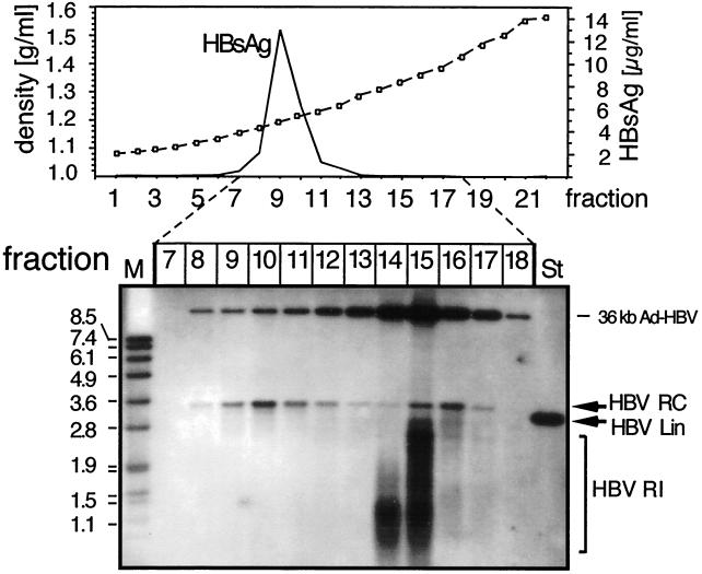 FIG. 5