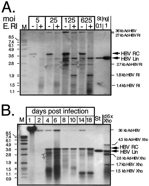 FIG. 4