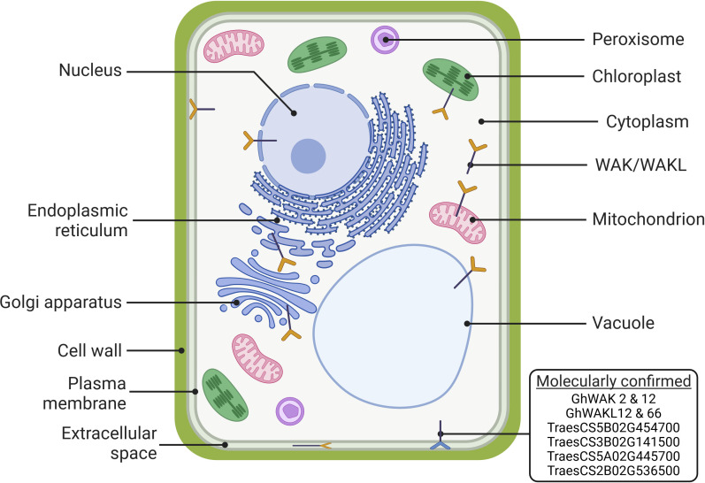 Figure 4