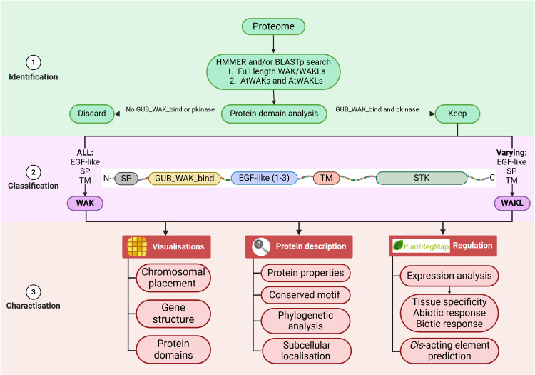 Figure 5