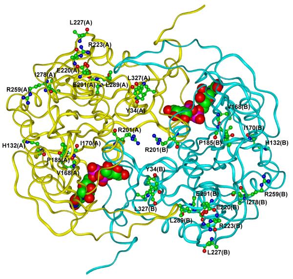 Fig. 3