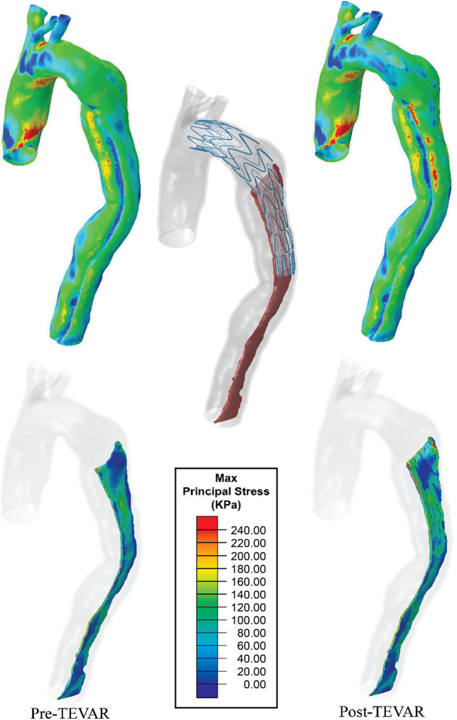 Fig. 7