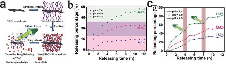 Fig. 12