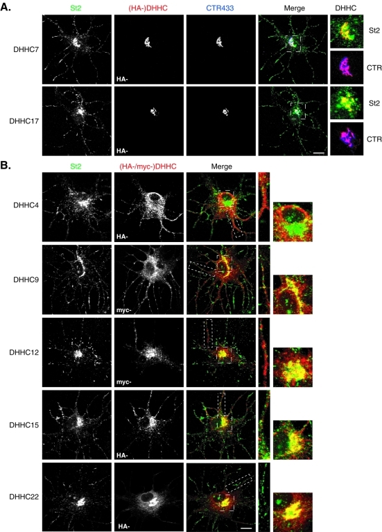 FIGURE 4: