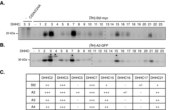 FIGURE 6: