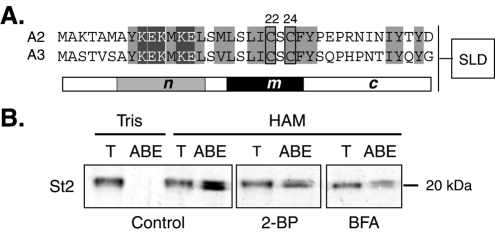 FIGURE 1: