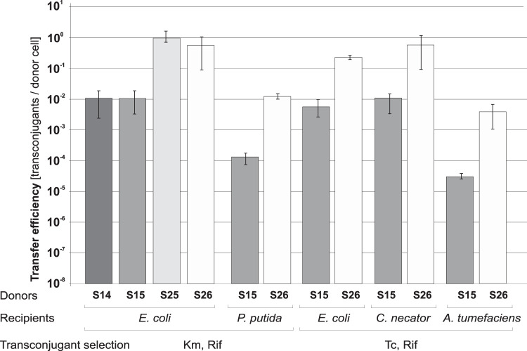 FIG 3