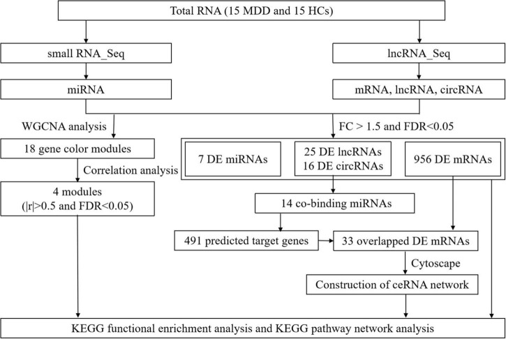 FIGURE 1