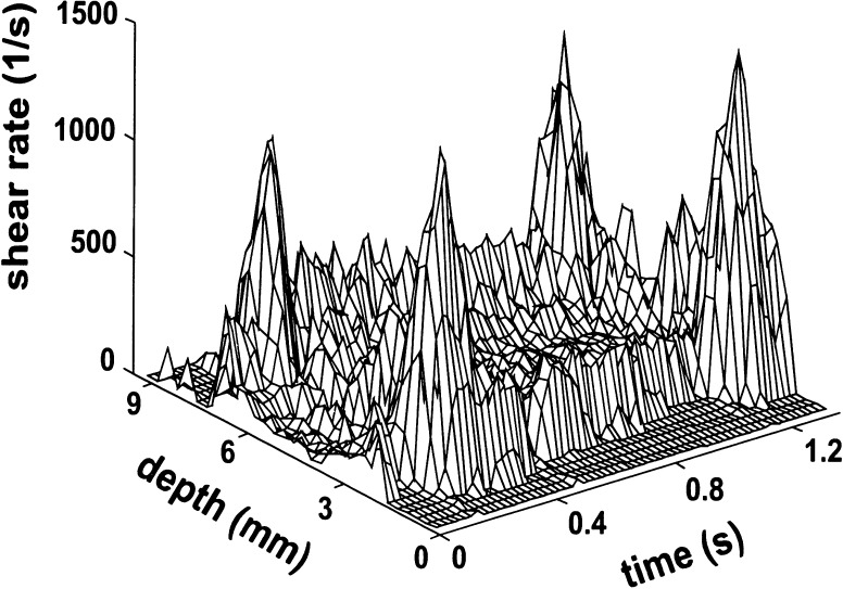 Fig. 2