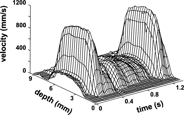 Fig. 1