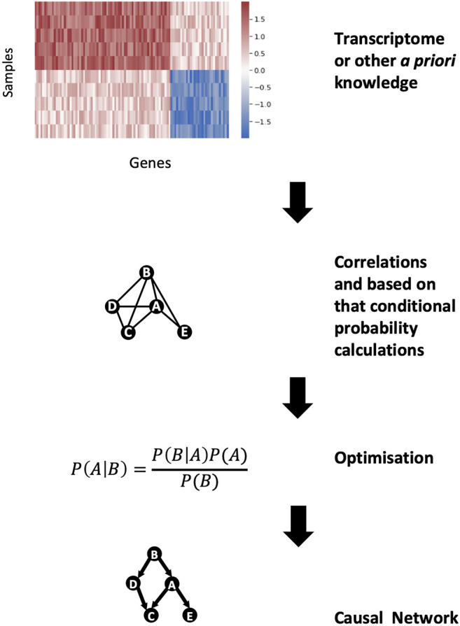 FIGURE 4