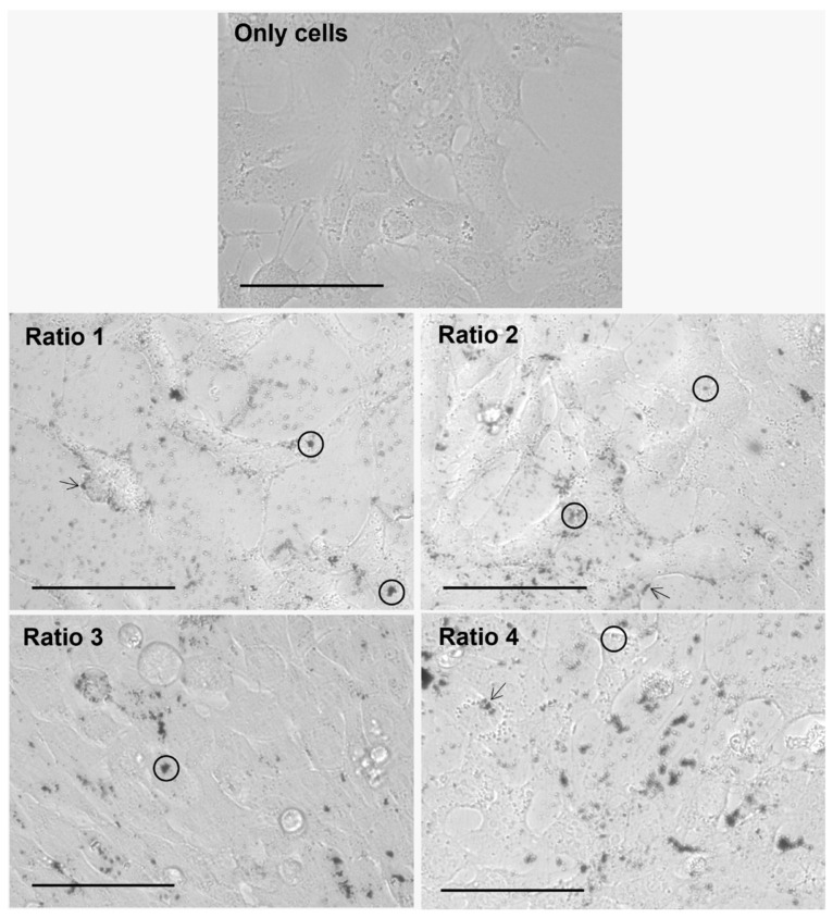 Figure 11