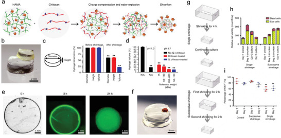 Figure 20