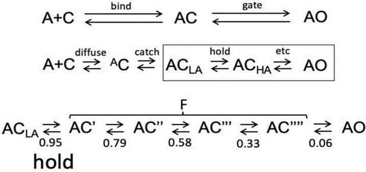 Figure 2—figure supplement 1.