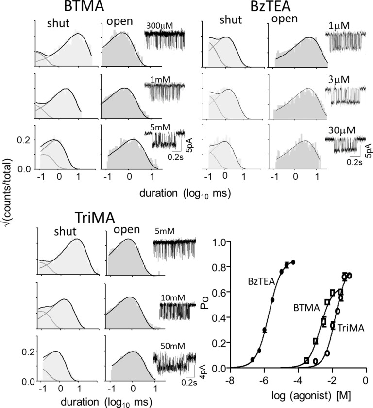 Figure 3—figure supplement 1.