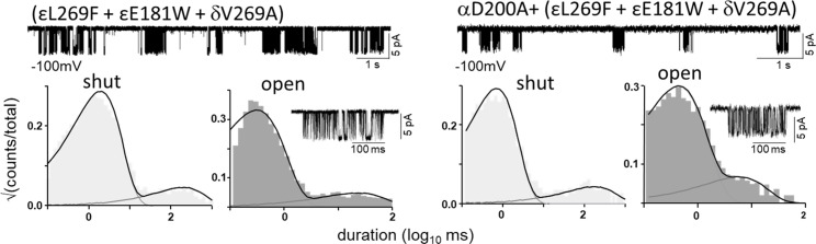 Figure 7—figure supplement 1.