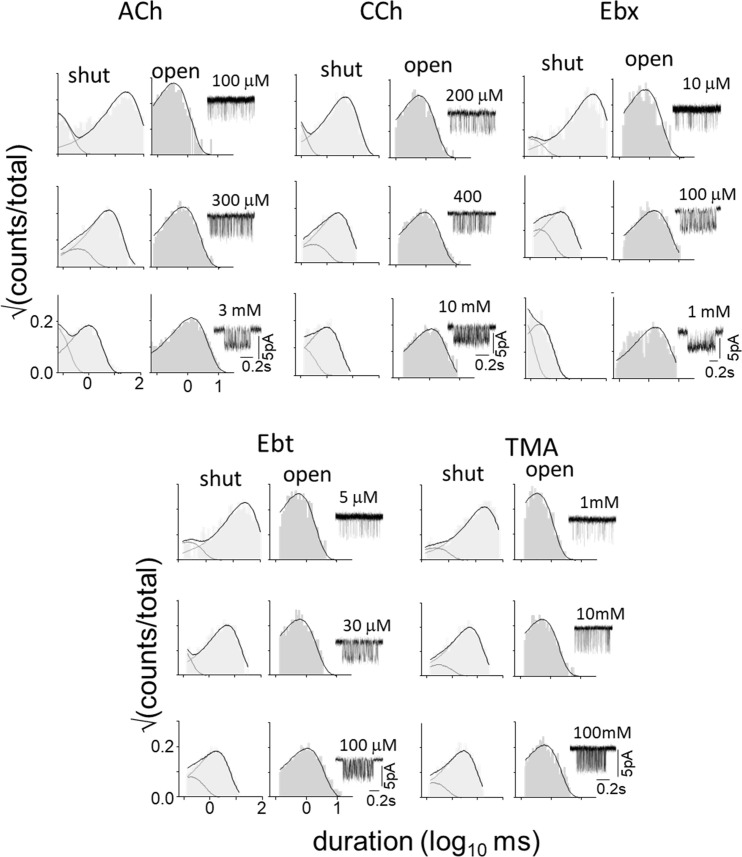 Figure 6—figure supplement 1.