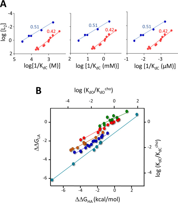 Figure 7—figure supplement 2.