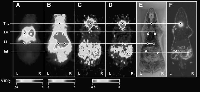 FIG. 6.