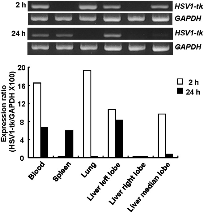 FIG. 8.