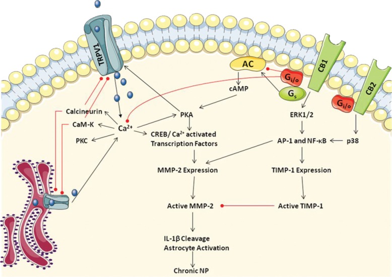 Fig.2: