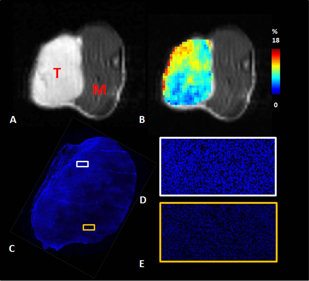 Fig.4