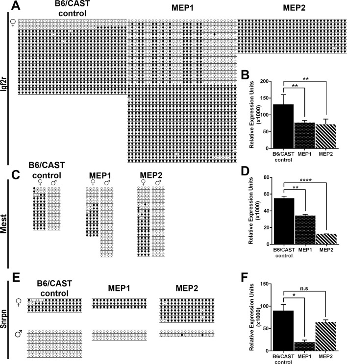 Figure 6—figure supplement 1.