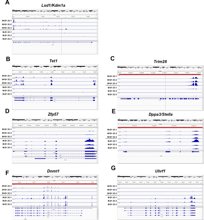 Figure 3—figure supplement 3.