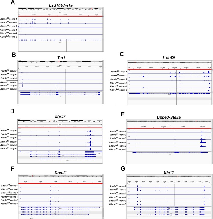 Figure 3—figure supplement 5.