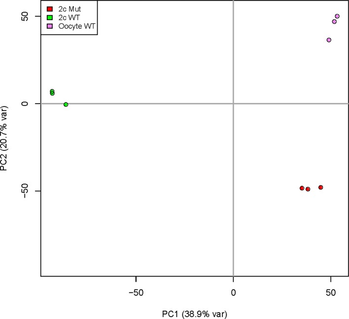 Figure 3—figure supplement 2.