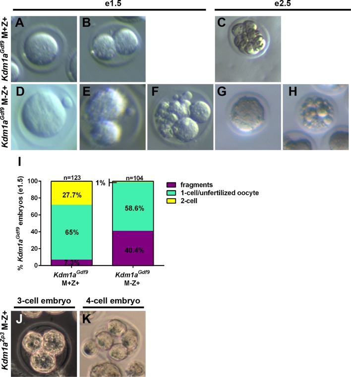 Figure 2—figure supplement 1.