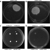 FIG 3
