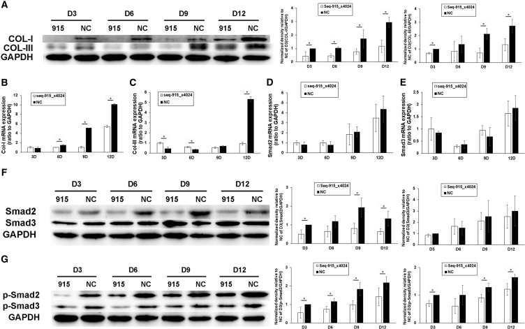 Figure 6