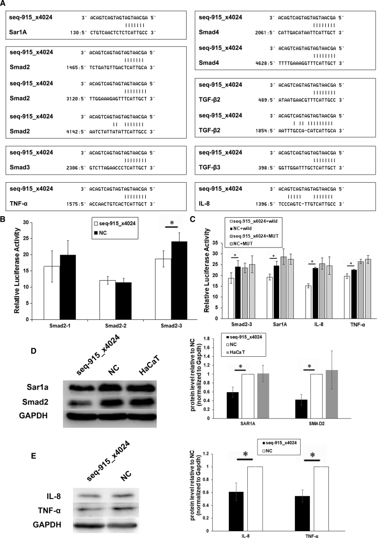 Figure 7