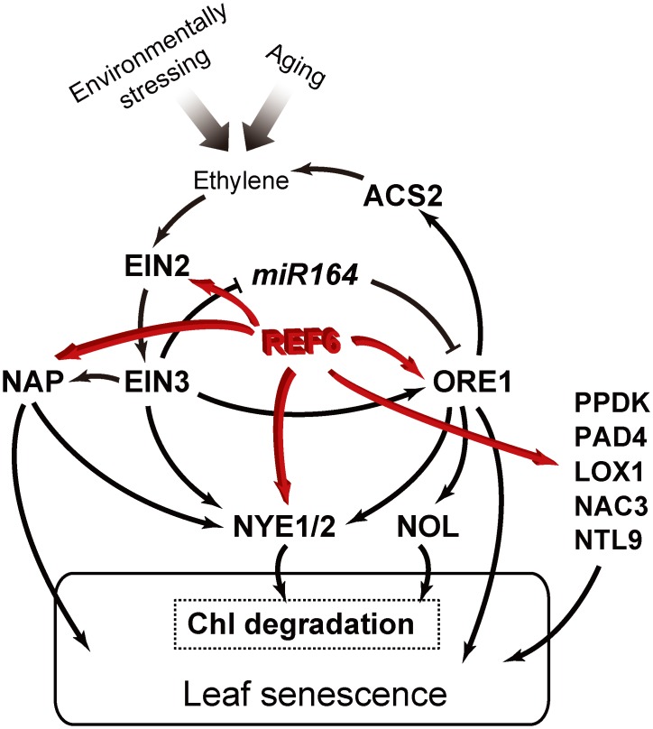 Fig 8