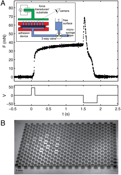 Fig. 3.