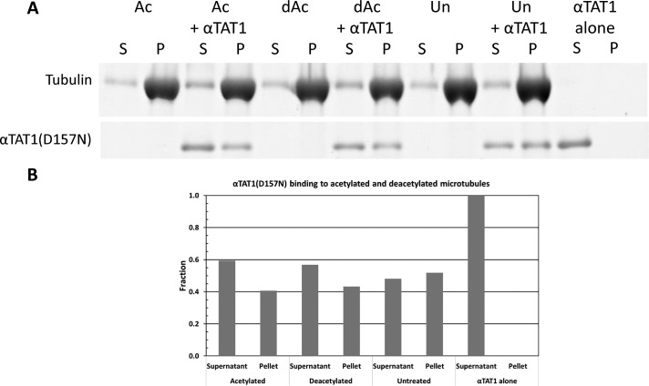 FIGURE 7: