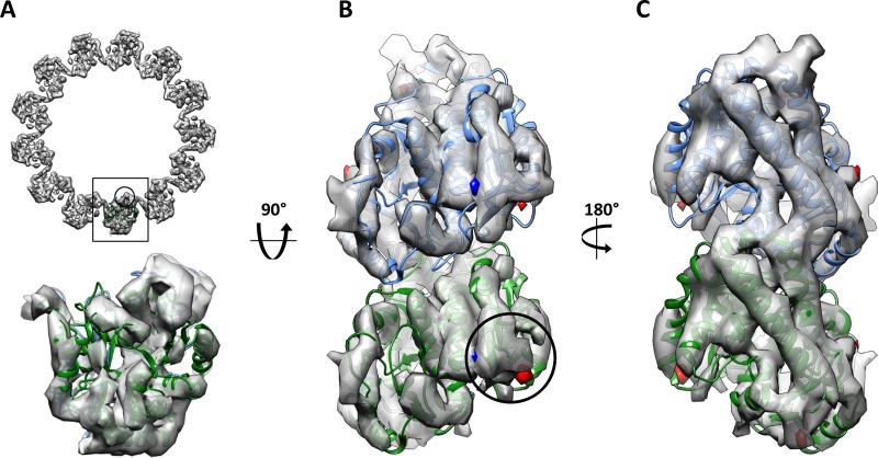 FIGURE 2: