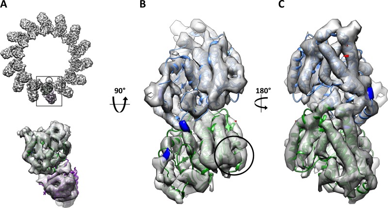 FIGURE 3: