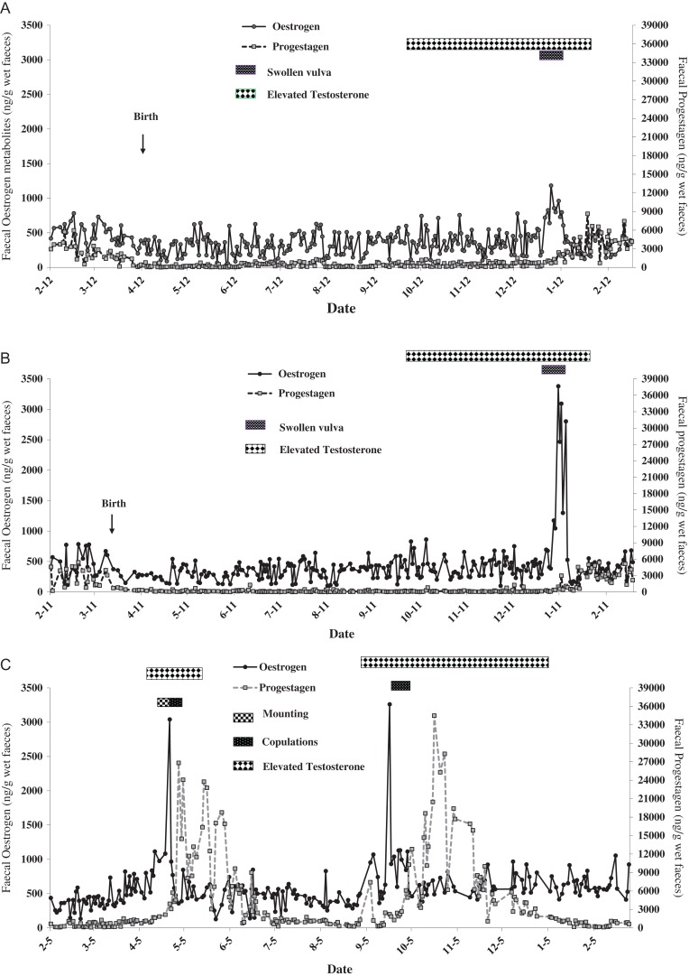 Figure 6: