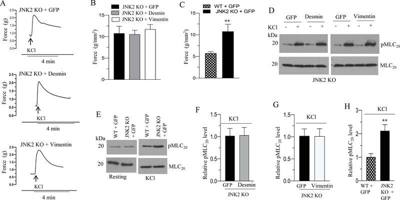 Figure 11.