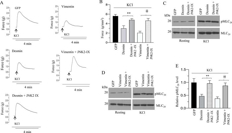 Figure 14.