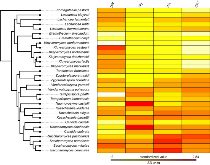 FIGURE 2